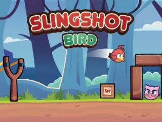 Slingshot Bird